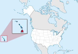 Nany name origin is Hawaiian